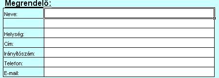 A megrendelő adatai az excel táblázatban